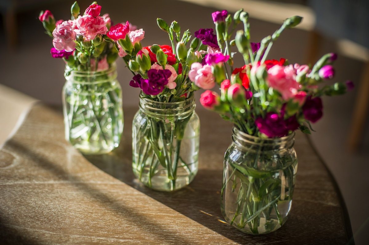 Flowers in pot